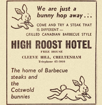 1960s newspaper ad for high roost hotel